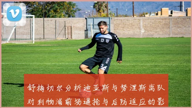 舒梅切尔分析迪亚斯与努涅斯离队对利物浦前场逼抢与后防适应的影响