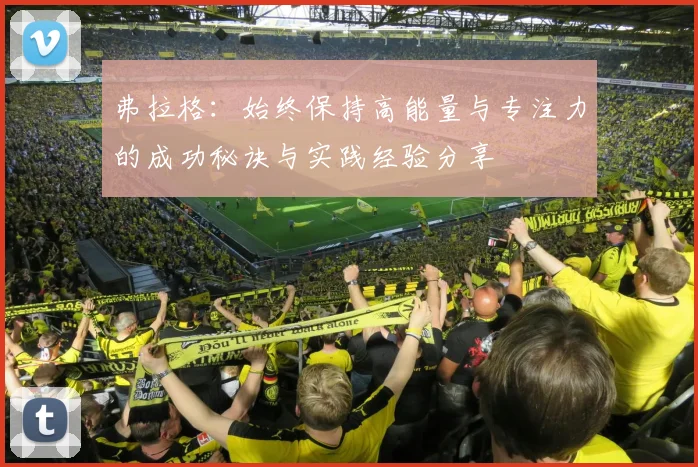 弗拉格：始终保持高能量与专注力的成功秘诀与实践经验分享