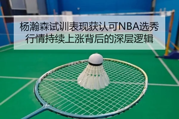 杨瀚森试训表现获认可NBA选秀行情持续上涨背后的深层逻辑